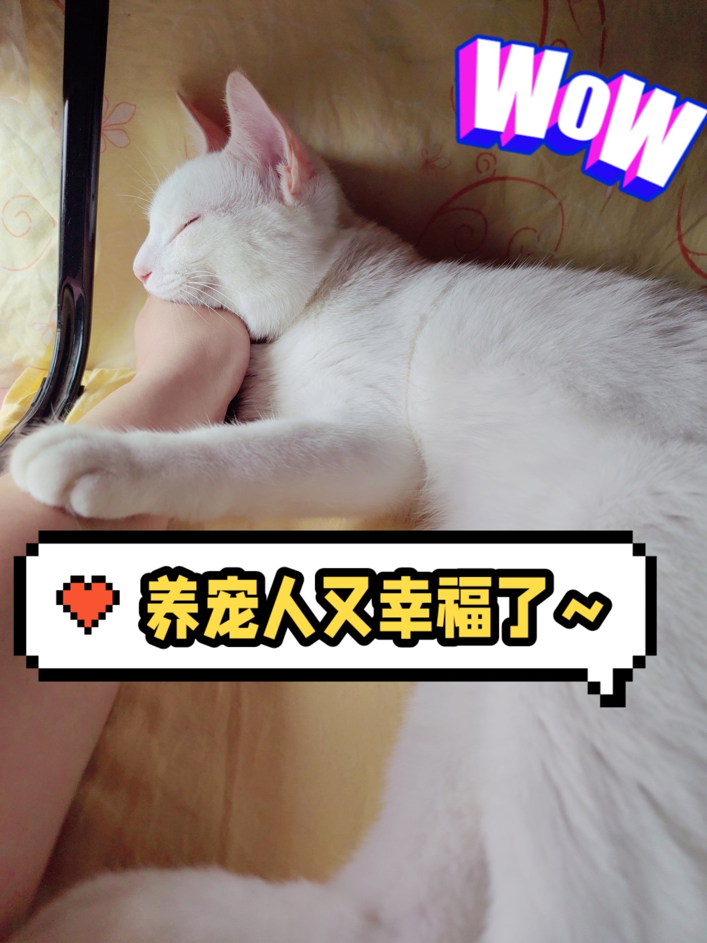第967页