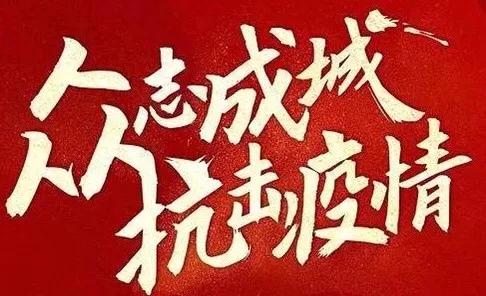 欧美疫情最新动态及全球防控进展与挑战概述