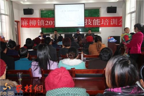 麻柳镇最新动态，引领发展的时代脉搏新进展