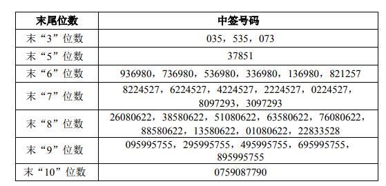 最新可转债中签号出炉，解读与洞察