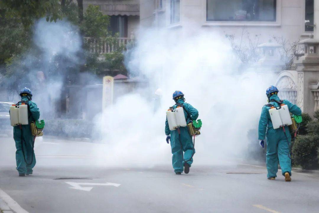 最新一波疫情的背景、事件与影响分析