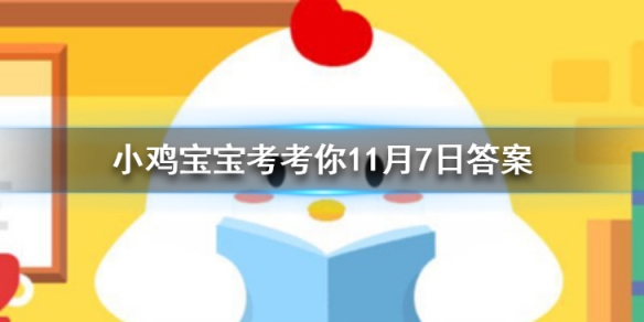 庄园小鸡最新答案7月,庄园小鸡最新答案7月，探索庄园的神秘世界与小鸡的成长之旅