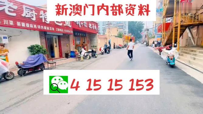 2024澳门天天开好彩大全正版,综合计划评估_私人版50.223