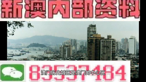 澳门最精准四不像正版,完善实施计划_掌中宝93.969