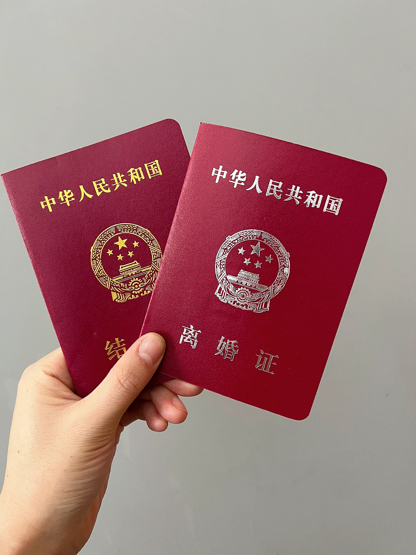 最新款离婚证，观点阐述与解析