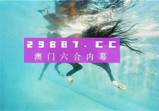 澳门4949精准免费大全青龙网,实地应用实践解读_内容版92.655