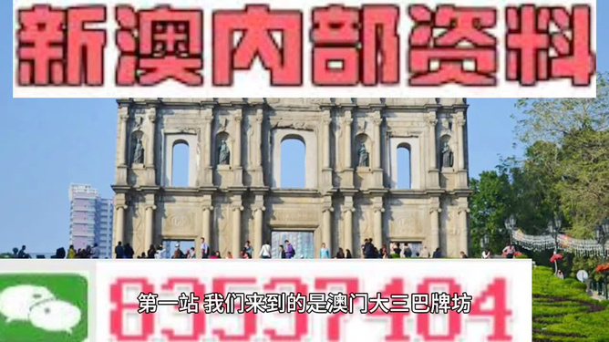 新澳门精准四肖期期中特公开,现代化解析定义_计算能力版6.170