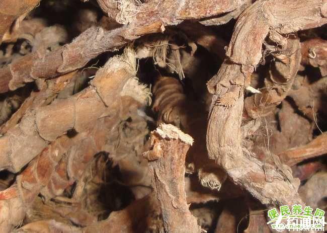 苏州pe波纹管 第68页