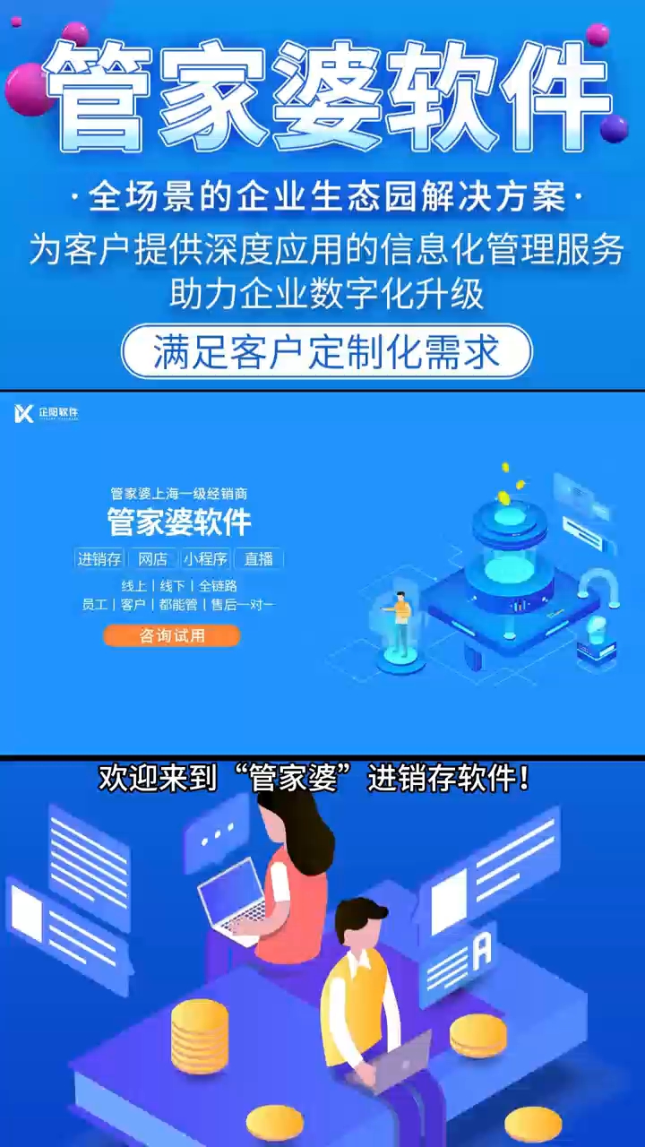 2024年正版管家婆最新版本,详细数据解读_奢华版85.361