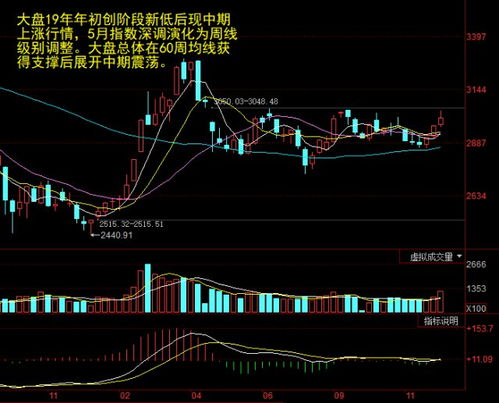 002211股票行情深度分析