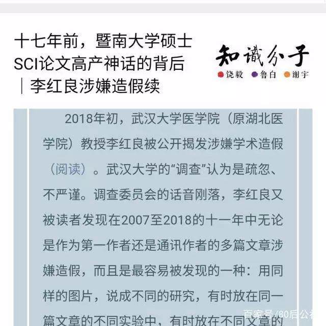 韩春雨事件最新进展全面解析，事件进展与应对步骤探讨