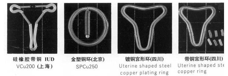 多元视角解读，最新环的种类图片大全