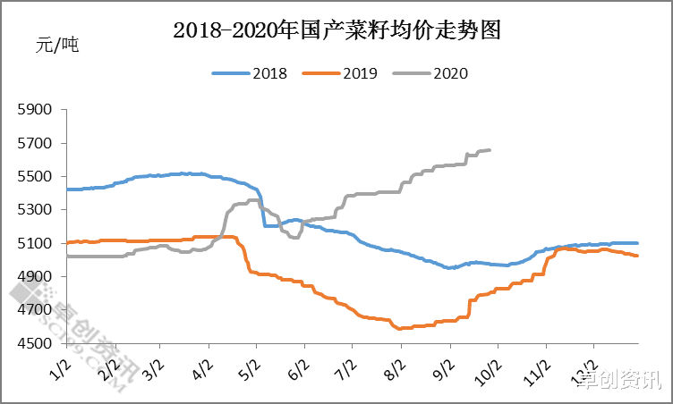 全国菜籽行情分析，机遇与种子在变革中展现自信力量