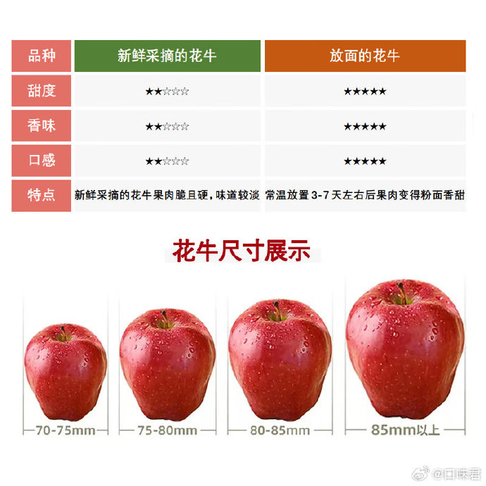 甘肃花牛苹果最新价格探析及市场走势预测，个人观点分享